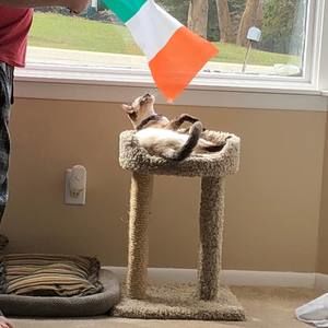 Meet your Posher, Sean